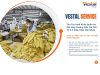 Thủ Tục Xuất Khẩu Quần Áo Dệt May Hướng Dẫn Chi Tiết Từ A-Z (Cập Nhật Mới Nhất)