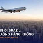 brazil cover