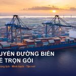 van chuyen duong bien quoc te vestal shipping